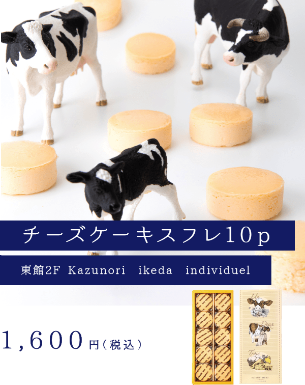 チーズケーキスフレ10p
東館2F Kazunori　ikeda　individuel